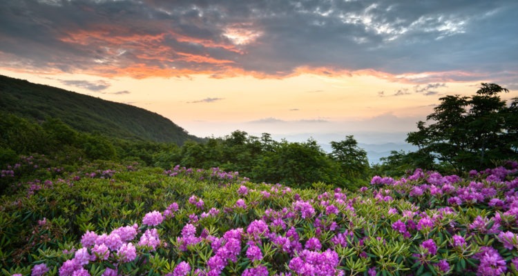 Craggy Gardens Blue Ridge Parkway